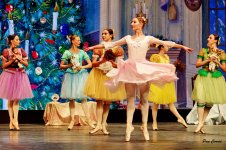 DSC02364 (1).jpg DSC02364 (1).jpg