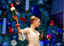 DSC02427.JPG DSC02427.JPG