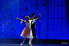 DSC02446.JPG DSC02446.JPG