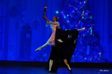 DSC02449 (1).jpg DSC02449 (1).jpg