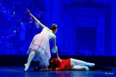 DSC02458.JPG DSC02458.JPG