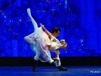 DSC02478.JPG DSC02478.JPG