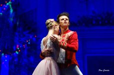 DSC02502.JPG DSC02502.JPG