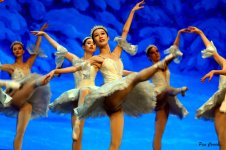 DSC02513.JPG DSC02513.JPG