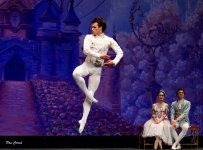 DSC02633.JPG DSC02633.JPG