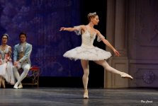 DSC02642.JPG DSC02642.JPG