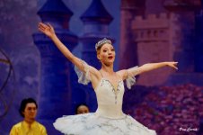 DSC02643.JPG DSC02643.JPG