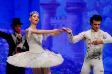 DSC02649.JPG DSC02649.JPG