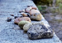 DSC02818 (1) - copia.jpg