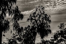 _DSF5421.jpg ps03.jpg