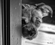 _DSC5576 (1) (1).jpg