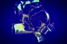 4KYVLQJc - copia (2).jpg