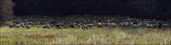 DSR08598 - DSR08600_1.jpg