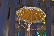 DSC00657-DxO_DeepPRIME XD2s.jpg