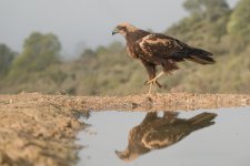 20251218-_MAC duet 2609F.jpg