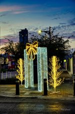 _DSC5985 (1).jpg _DSC5985 (1).jpg