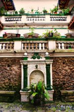 DSC00968 (1).jpg DSC00968 (1).jpg