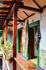 DSC00971 (1).jpg DSC00971 (1).jpg