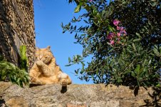 Una morena y una rubia (2).jpg