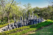 _DSC5740 (1).jpg _DSC5740 (1).jpg