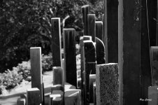 _DSC5744.JPG _DSC5744.JPG