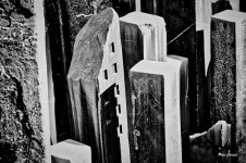 _DSC5746 (1).jpg _DSC5746 (1).jpg