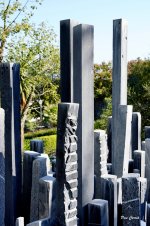 _DSC5747 (1).jpg _DSC5747 (1).jpg