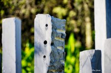 _DSC5752 (1).jpg _DSC5752 (1).jpg