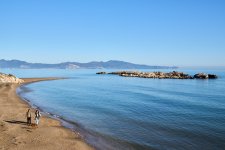 Paseando al perrito (1).jpg