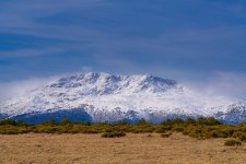 DSC01614-Sony ILCE-7RM5-E 70-180mm F2.8 A065-129 mm-1-200 seg. en ƒ - 9,010.61-ISO 100.jpg DSC01614-Sony ILCE-7RM5-E 70-180mm F2.8 A065-129 mm-1-200 seg. en ƒ - 9,010.61-ISO 100.jpg