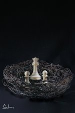 nius gener 2026-47.jpg