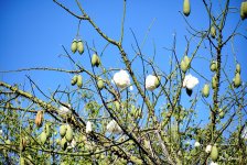 _DSC5810 (1).jpg _DSC5810 (1).jpg