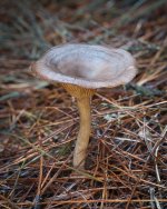 20260109-TOL00006_stack (1).jpg