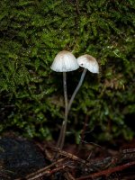 WhatsApp Image 2025-12-29 at 23.01.16.jpeg