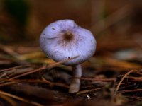 WhatsApp Image 2025-12-29 at 23.01.27.jpeg