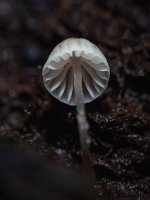 WhatsApp Image 2025-12-29 at 23.01.28.jpeg