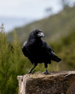 WhatsApp Image 2026-01-08 at 21.30.55.jpeg