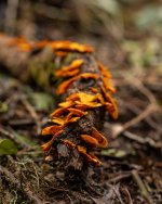 WhatsApp Image 2026-01-08 at 21.30.56.jpeg