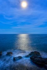 La Luna en el mar riela.. (1).jpg