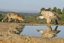 20251218-_MAC duet 2303F.jpg