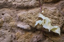 Acercarse a la pared (2).jpg