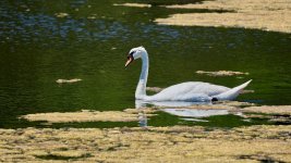 2025 07 09 Isla 019 Mendia.jpg