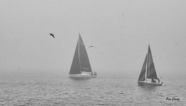 DSC02553 - copia (2).jpg