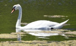 2025 07 09 Isla 019 Recorte original.jpg