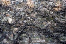 Iniciación a Pollock.jpg