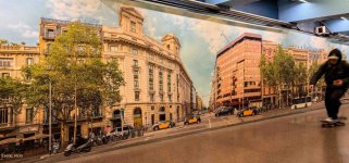 IMG_0491.jpg IMG_0491.jpg