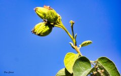 _DSC6469 (1).jpg _DSC6469 (1).jpg