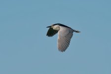 20240621-_MAC delta3343ZF.jpg