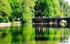 DSC00530 (1).jpg DSC00530 (1).jpg