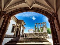 DSC01871 (1).jpg DSC01871 (1).jpg